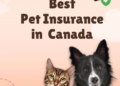 Best Pet Insurance in Canada